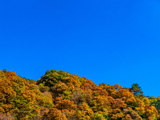 太田鍼灸整骨院