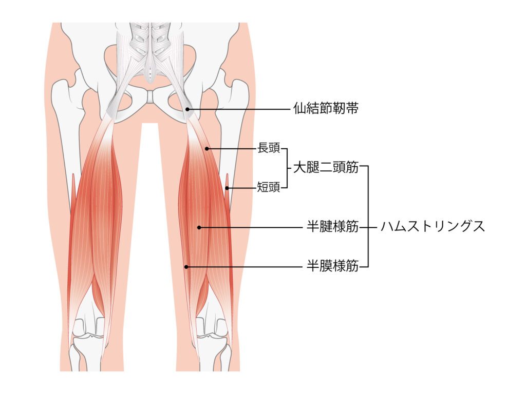 太田鍼灸整骨院